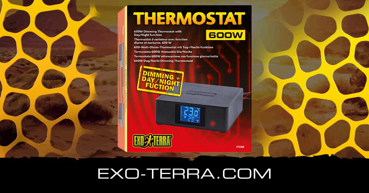 Thermostat 600W