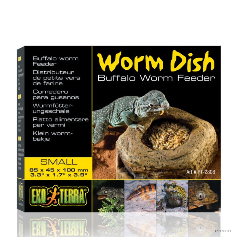 Buffalo Worm Dish