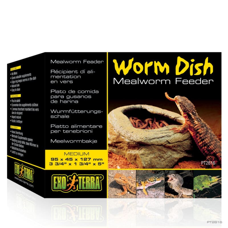 Meal Worm Dish