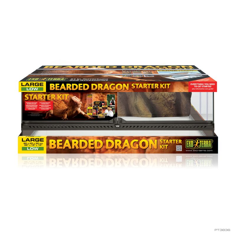 Bearded Dragon Starter Kit