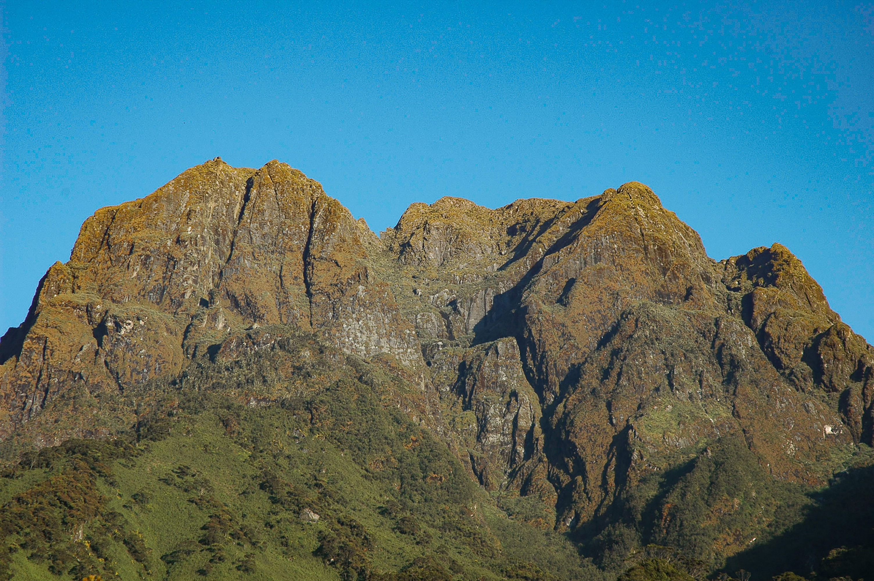 Das Ruwenzori-Gebirge