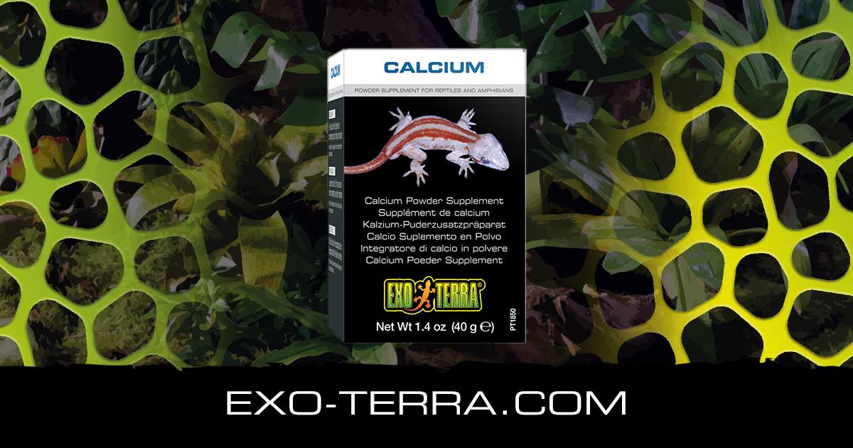 Calcium 1.4 oz – 40g