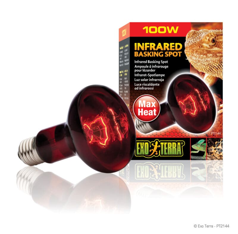 Infrared Basking Spot 100W