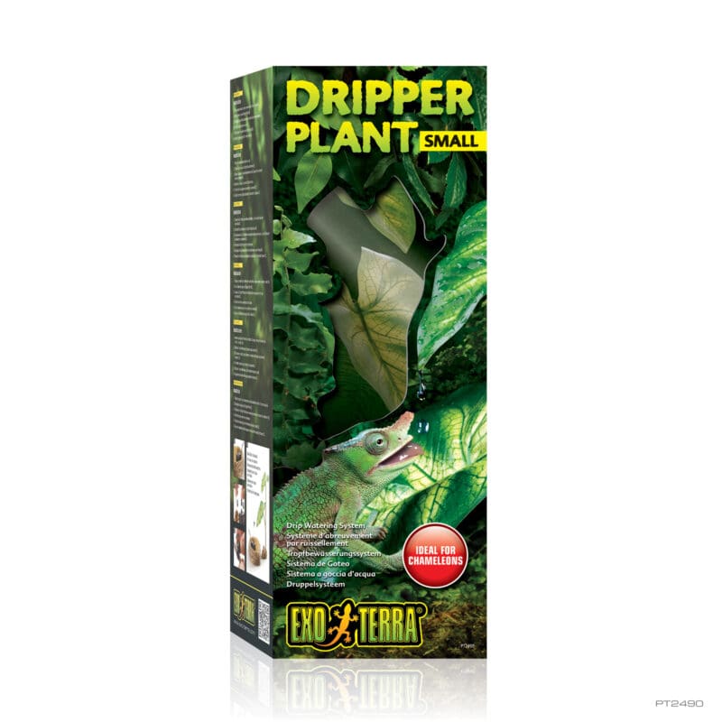 Dripper Plant Small