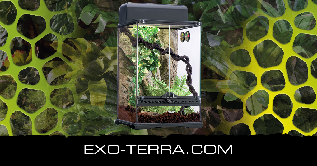 Habitat Kit Rainforest Small