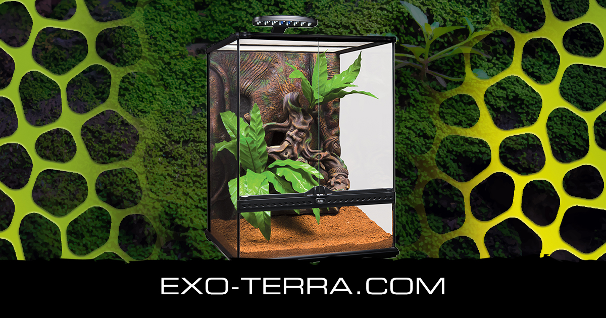 Crested Gecko Terrarium Large