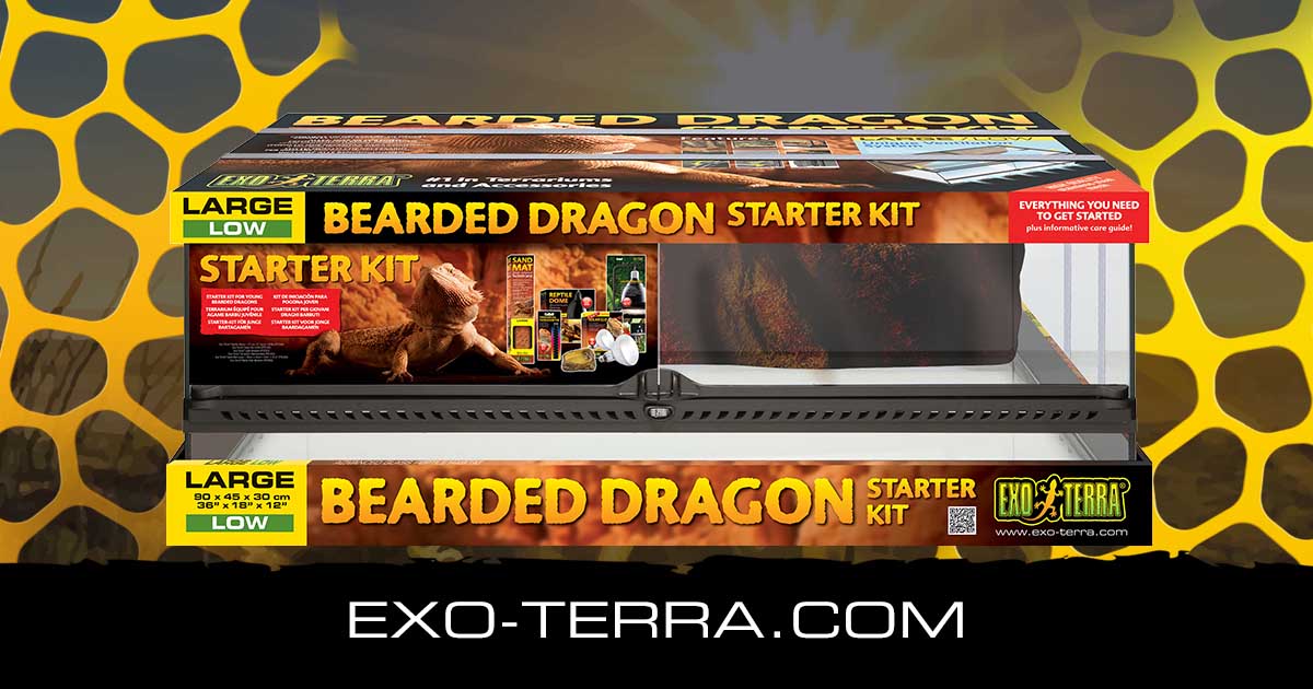 Bearded Dragon Starter Kit