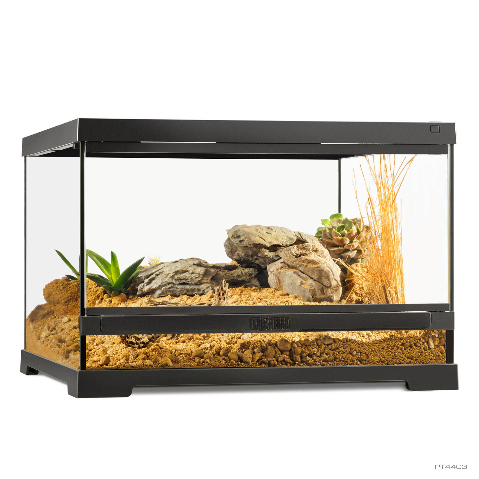 Pro Terrarium Small Low