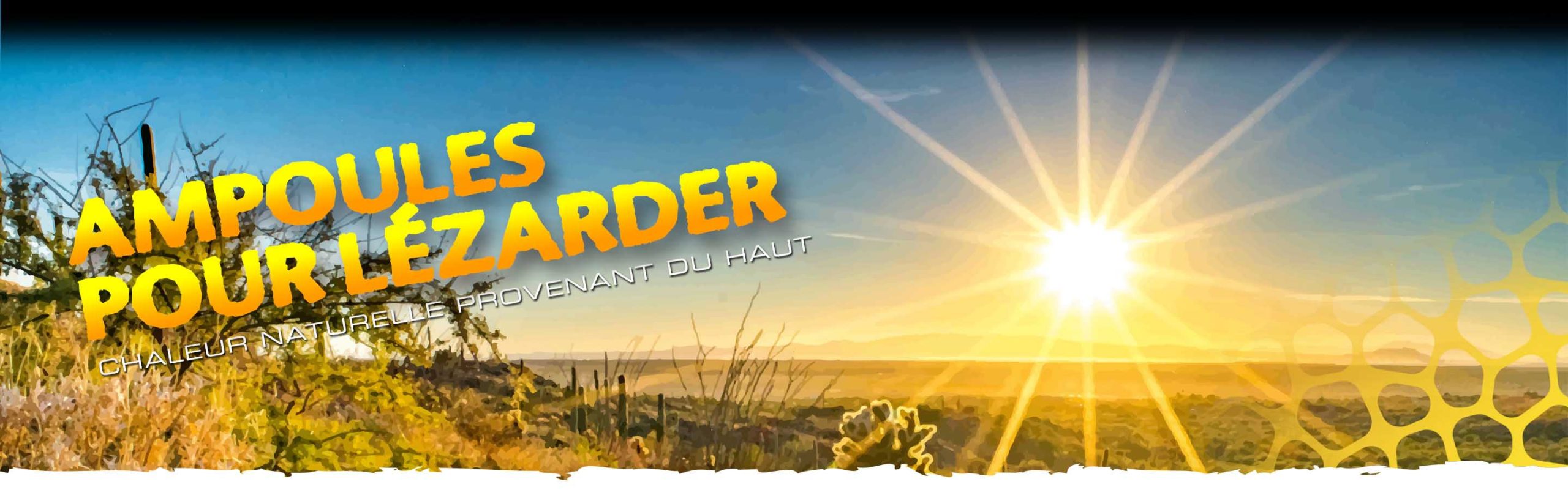 Basking Spots Header