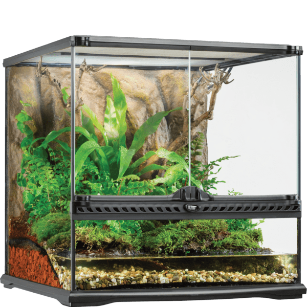 Terrariums - Exo Terra FR