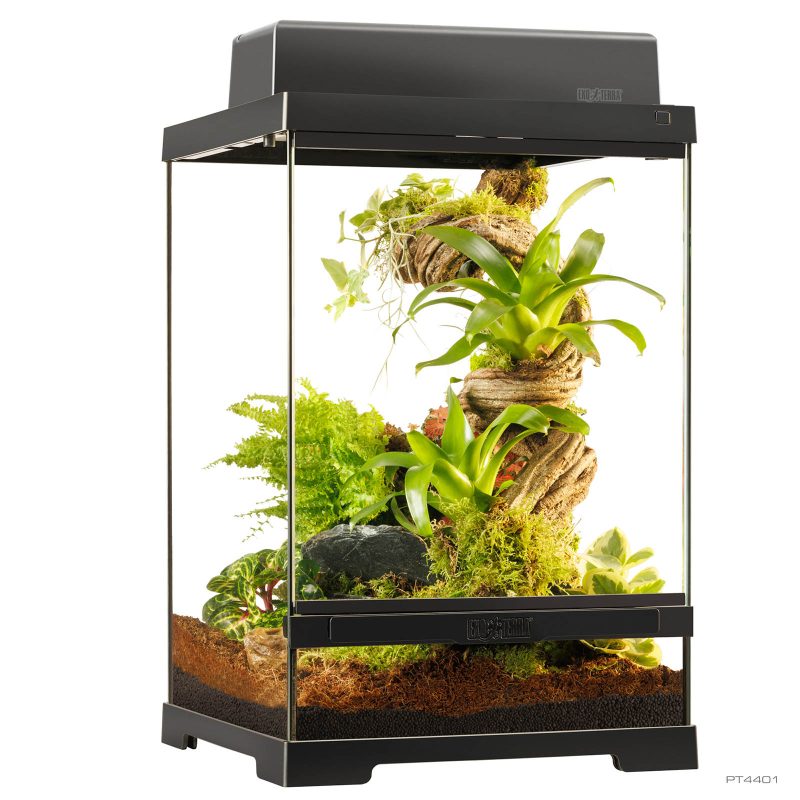 Pro Terrarium X-Small Tall