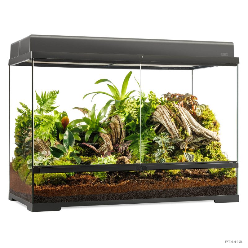 Pro Terrarium Large Tall