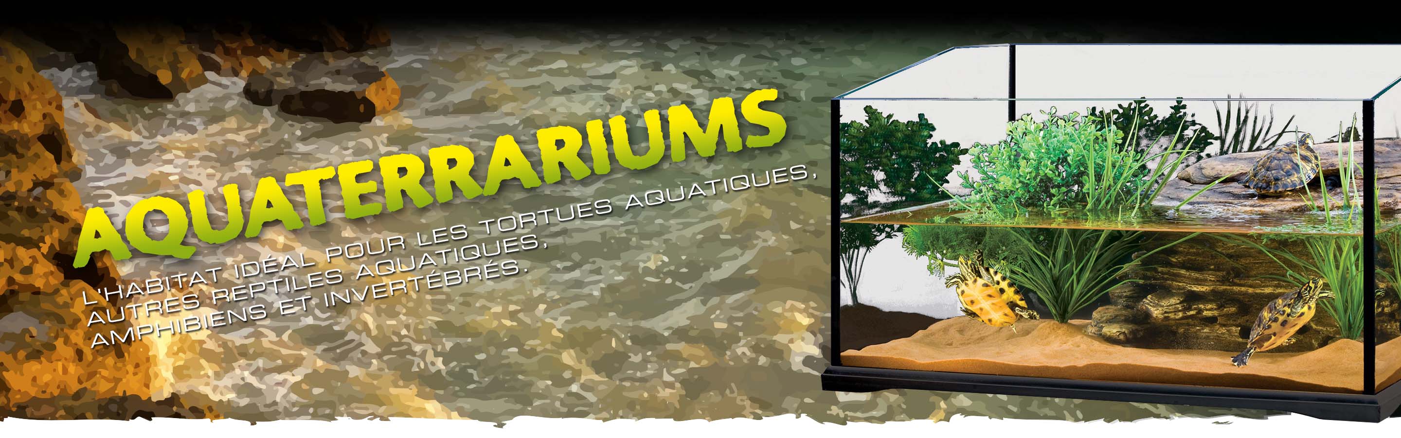 Aquatic Terrariums Header