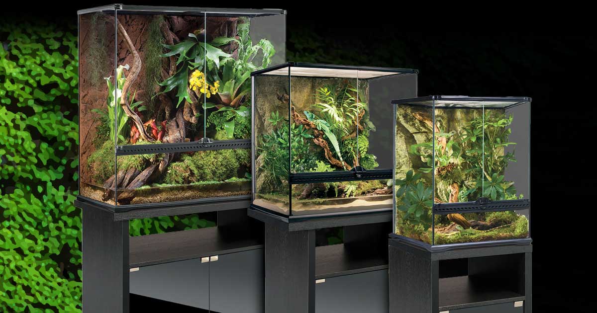 Terreau Spécial Terrarium 1 Litre - Mélange Nutritif Pour Jardins Miniatures, Désert Ou Tropical