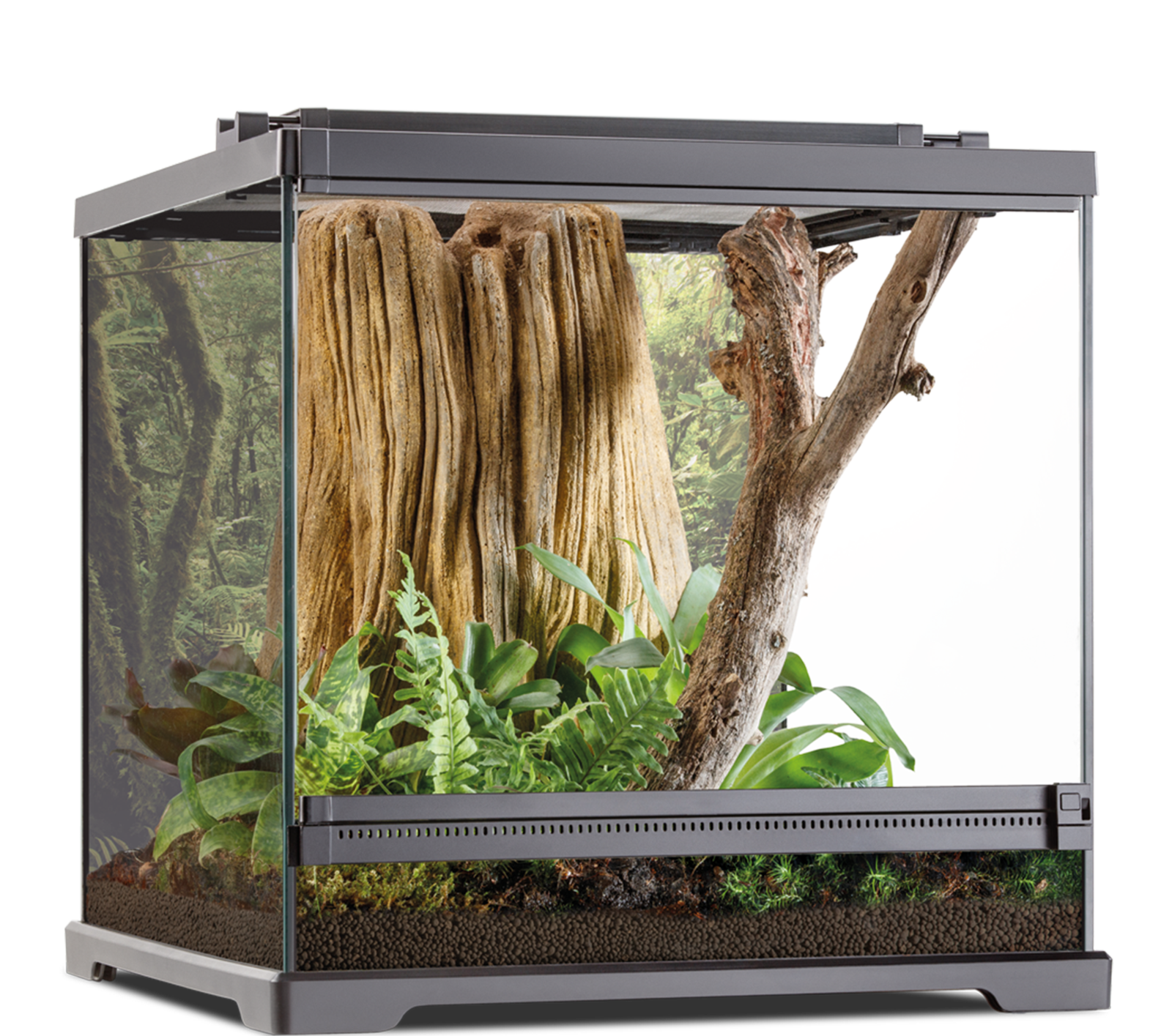 Terrario Exo Terra Habitat Kit Tropical 120l M. 45x45x60 con