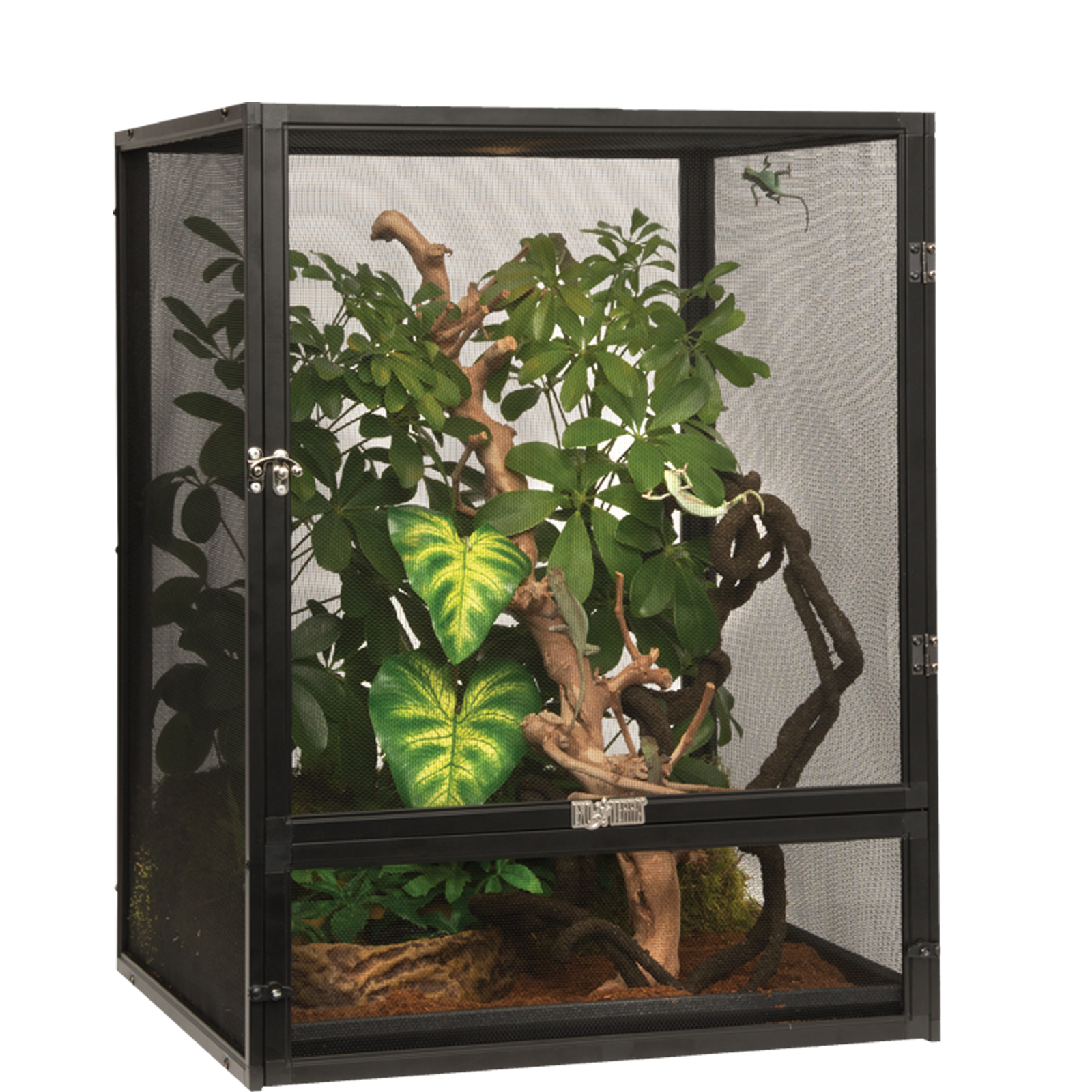 EXO TERRA Tropical Terrarium Kit – FiremouthAquaristic