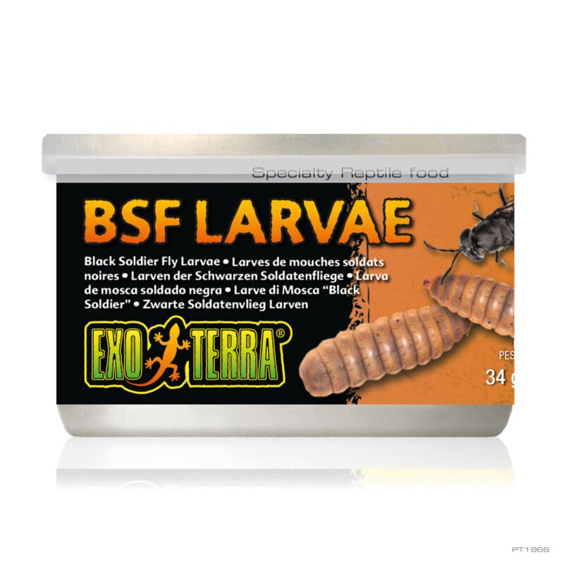 BSF Larvae 1.2 oz - 34g