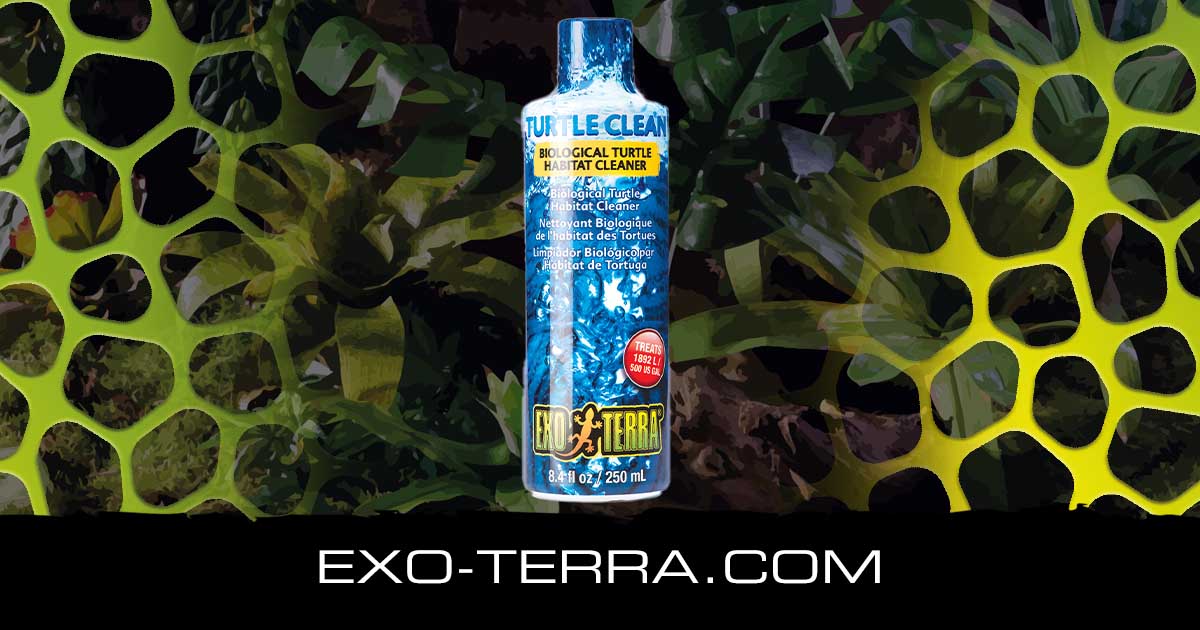 Turtle Clean 8 fl oz - 250 ml