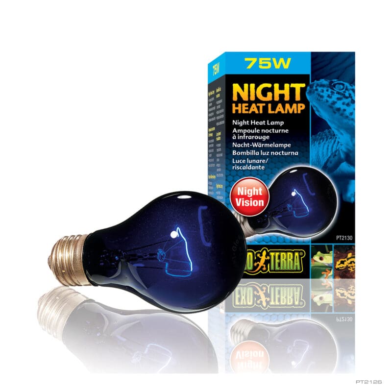 Night Heat Lamp 75W