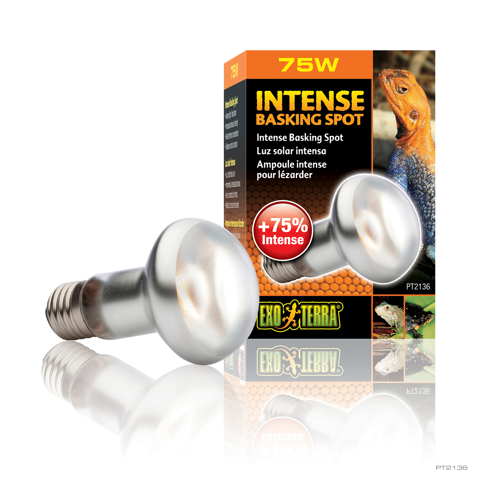Exo Terra Infrared Thermometer