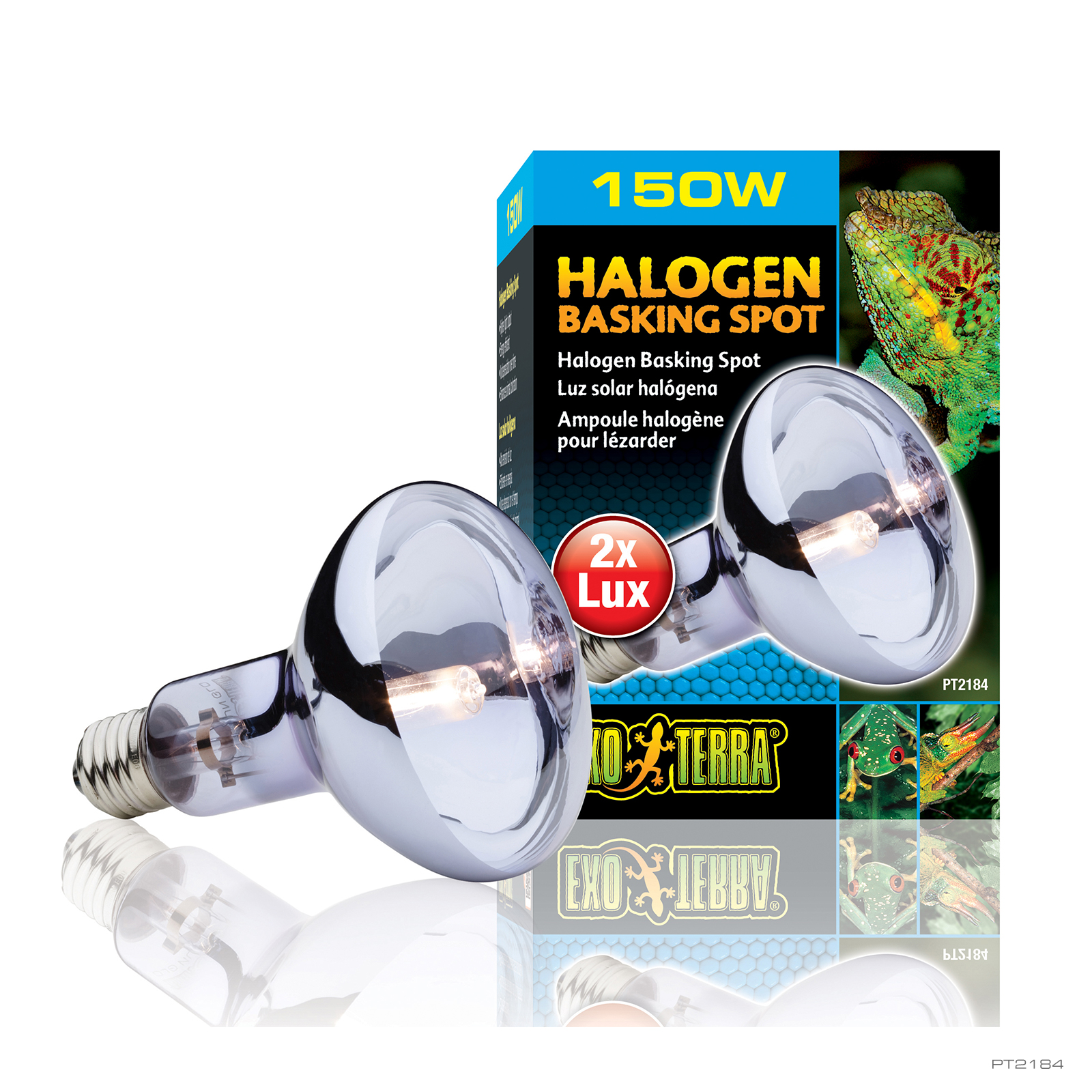 Lampe halogène First