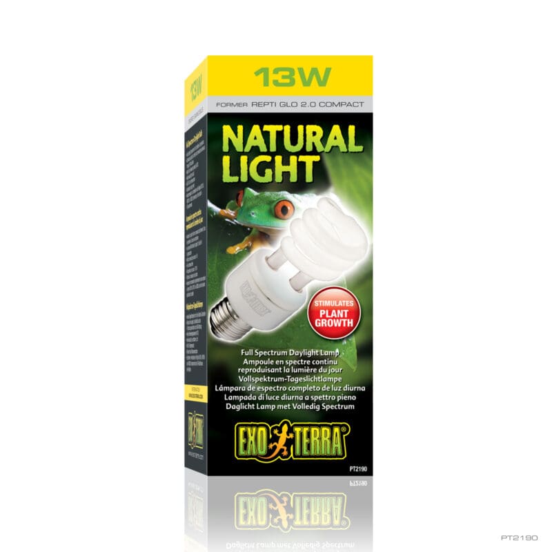 Natural Light Compact 13W