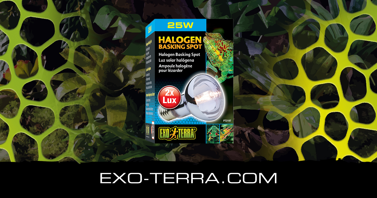 Halogen Basking Spot Exo Terra