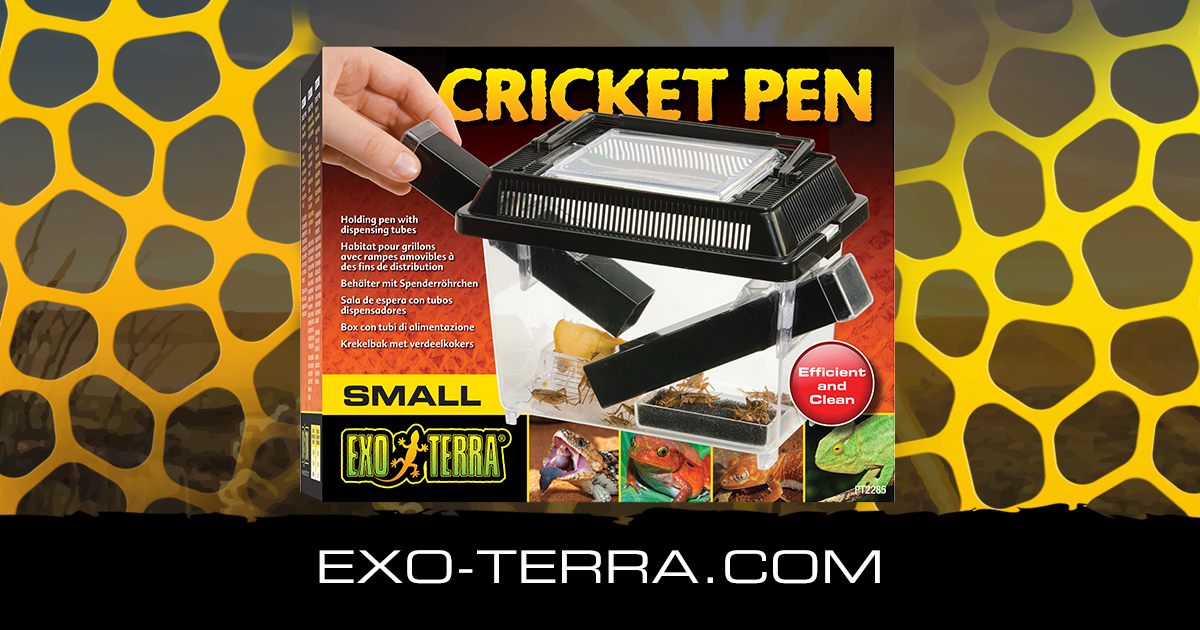 Cricket Pen Small (трещины). Уцененные товары. Оборудование. Зоомагазин  «PANTERIC»