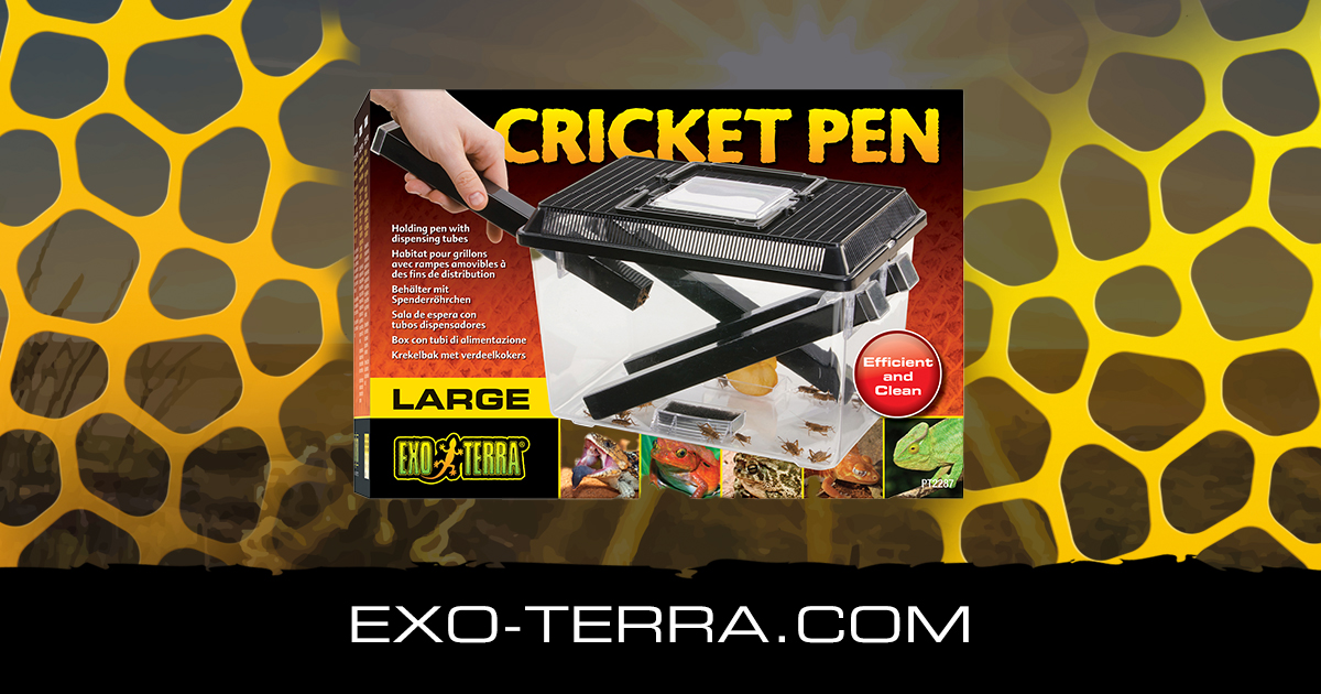 Exo Terra Cricket Pen (Large 12” x 8” x 7. 6”) - ReptilesRuS