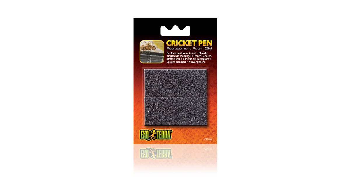  Exo Terra Cricket Pen Size: Large (12 x 8 x 7.6) : Cricket  Keeper Large : Pet Supplies