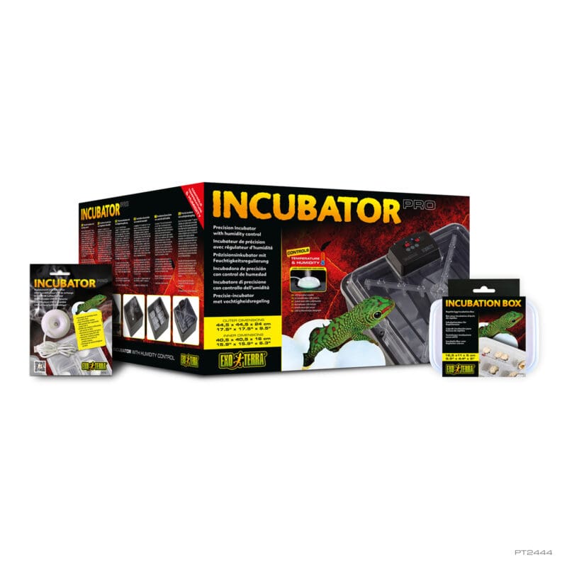 Incubator Pro