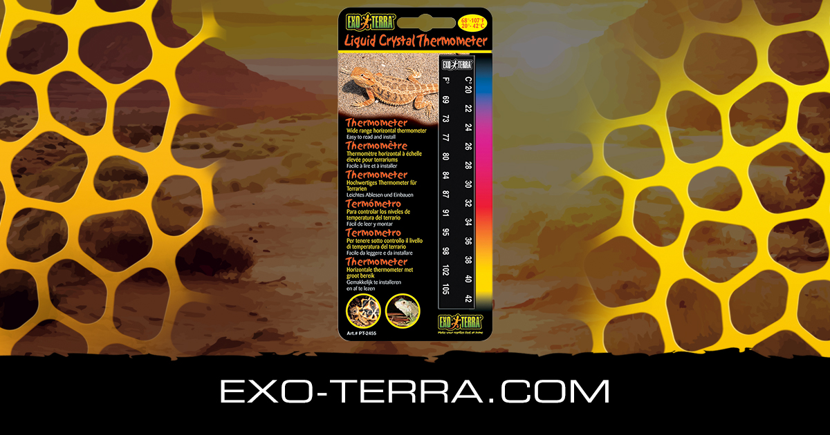 EXO TERRA Thermometer- Thermomètre pour terrarium à petit prix