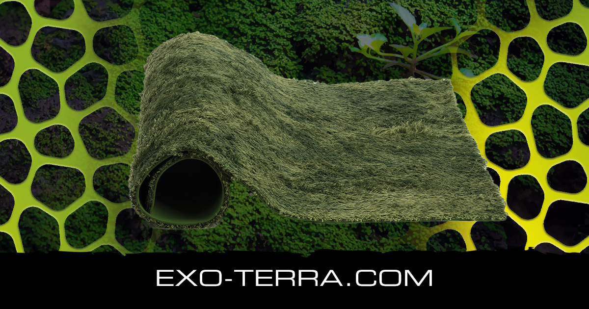 Reptile Amphibian Carpet Moss Carpet Reptile Crawling Mat - Temu