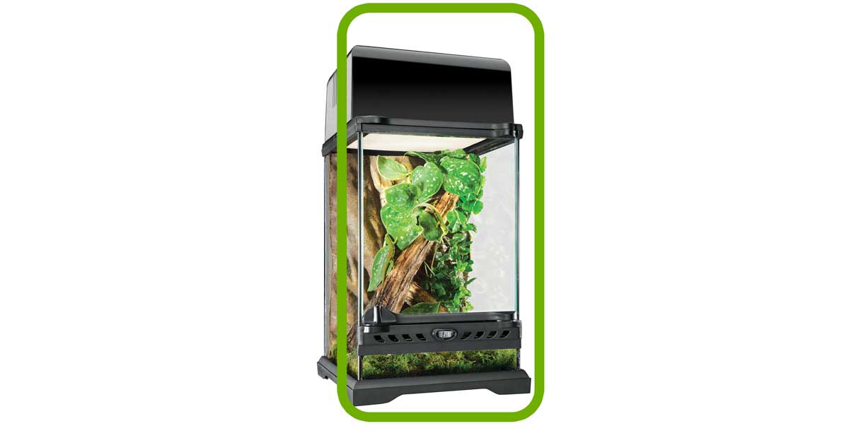 Replacement Door for Terrarium PT2601