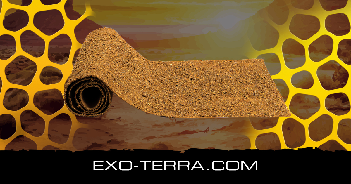 Exo terra 2024 sand mat cleaning