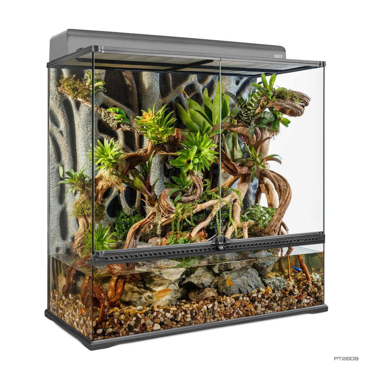 How to set up a bioactive terrarium - Exo Terra