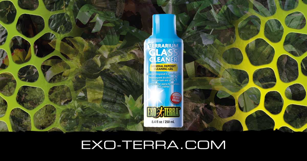 Terrarium Glass Cleaner