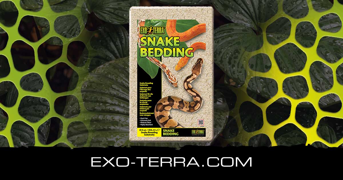 Snake Bedding 4QT 4,4L