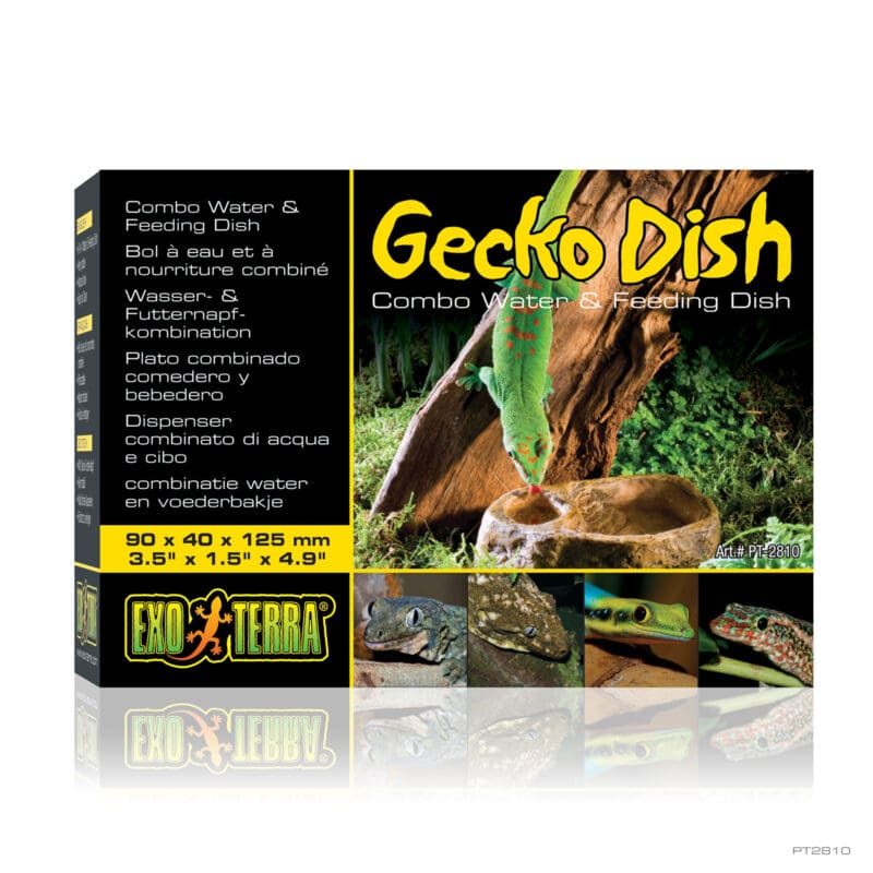 Gecko Dish