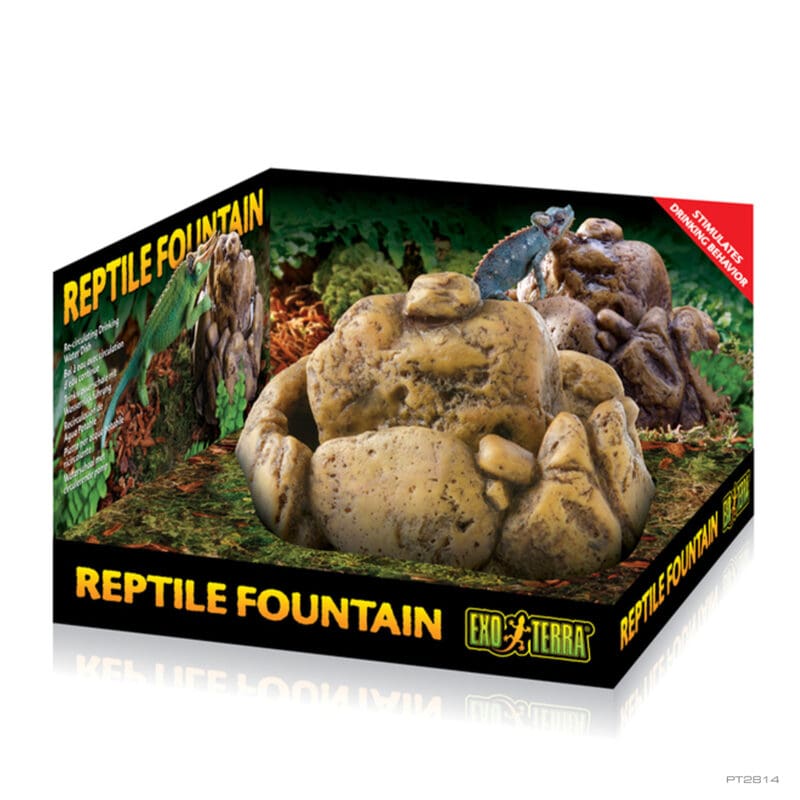 Reptile Fountain