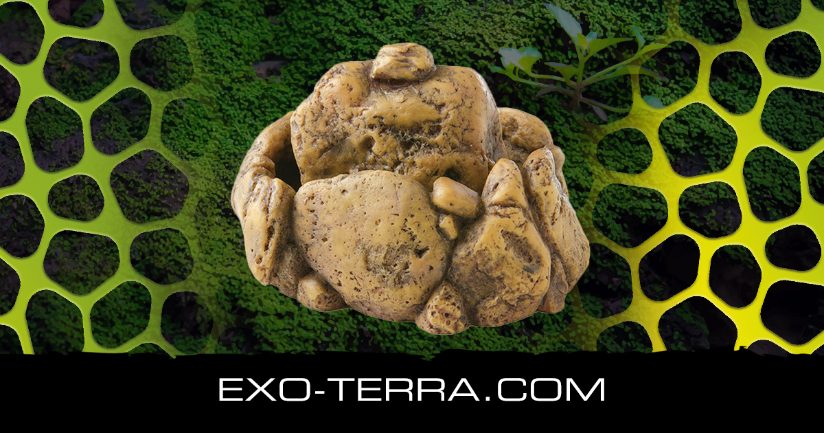 Exo terra reptile fountain best sale