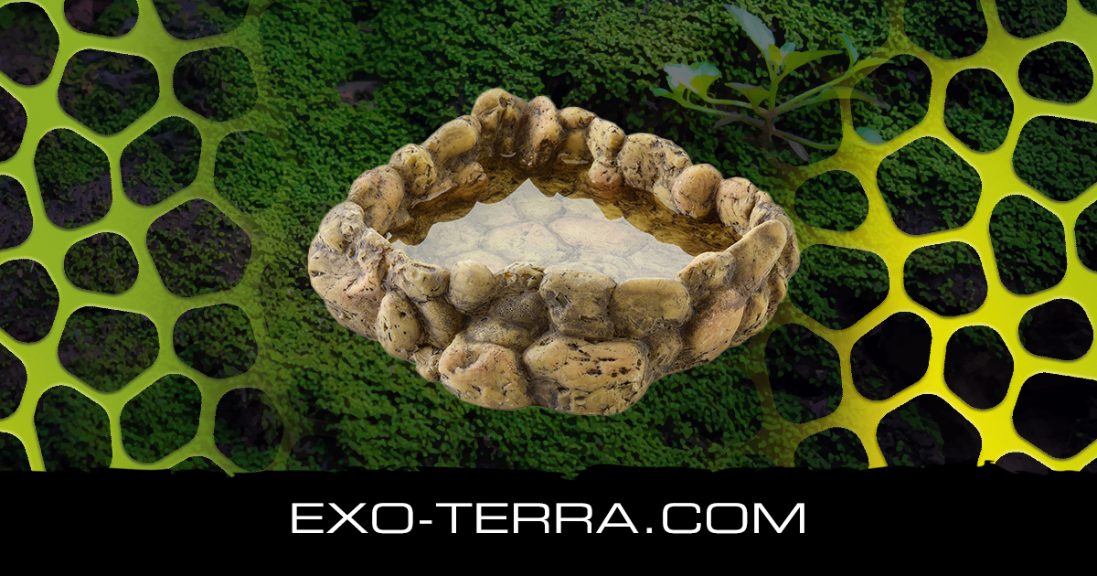 Exo terra corner water dish hotsell