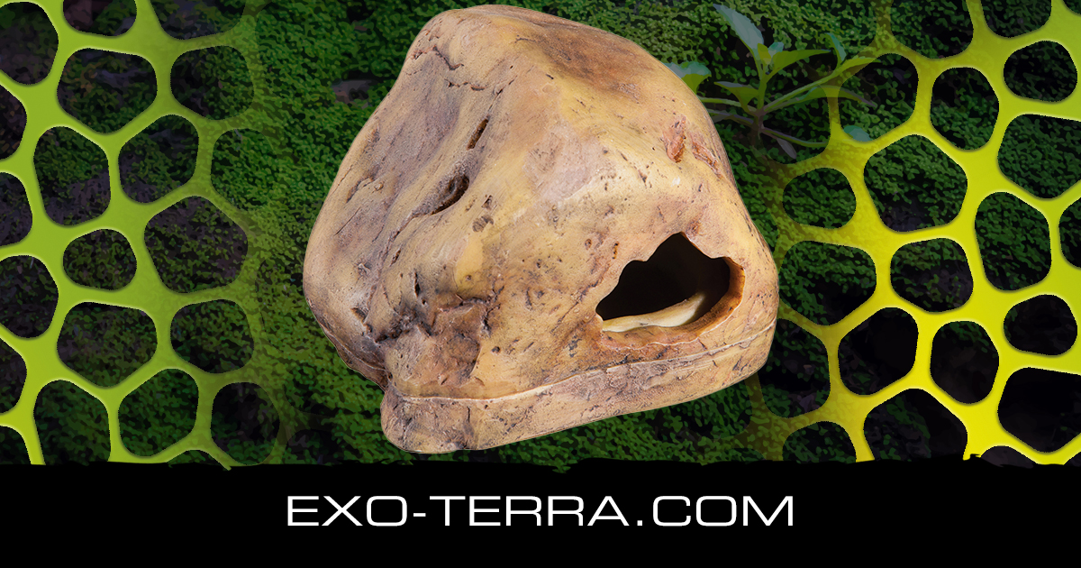 Exo Terra Gecko Cave