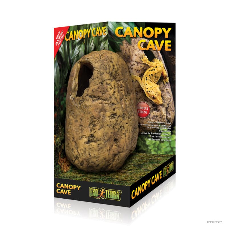 Canopy Cave