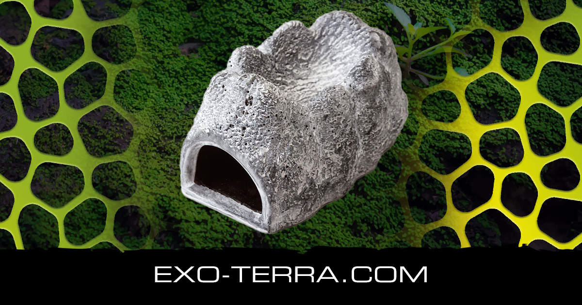 Exo terra wet outlet rock cave