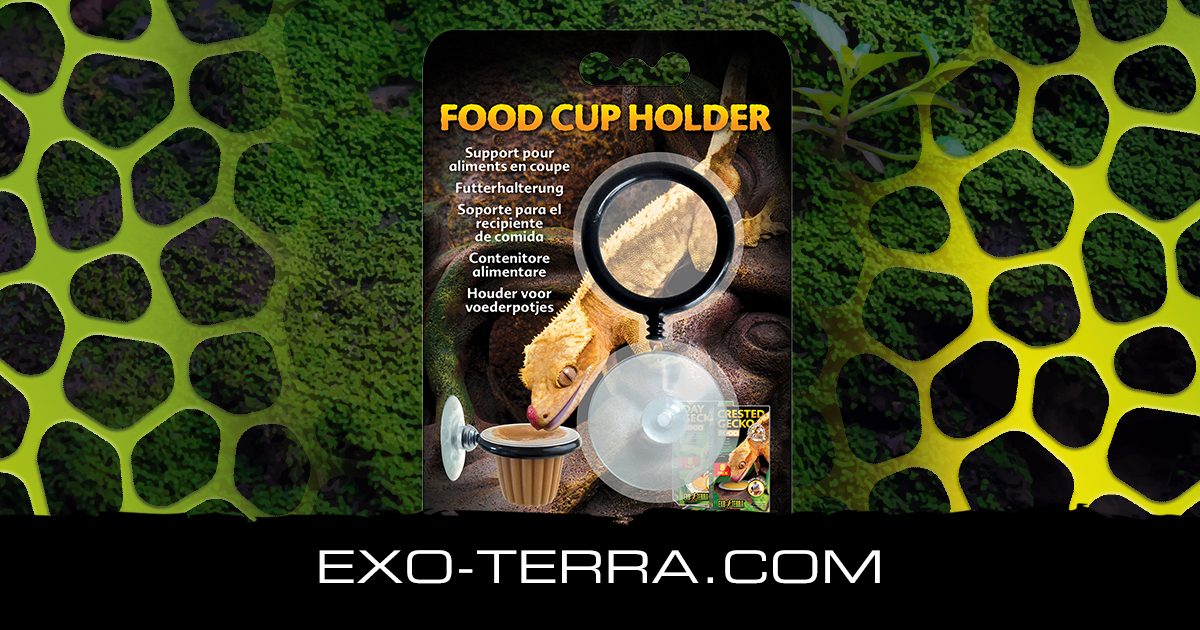 Food Cup Holder