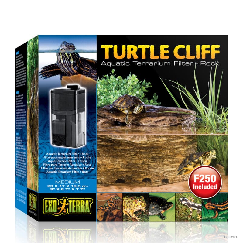Turtle Cliff Medium