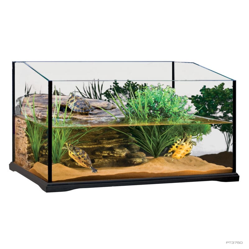 Turtle Terrarium Bent Glass Medium