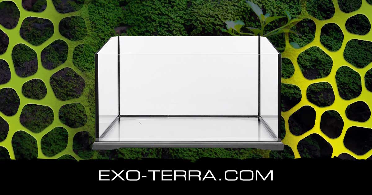 Turtle Terrarium Medium