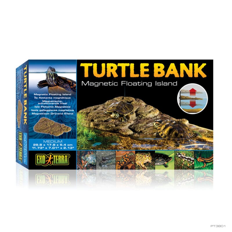 Turtle Bank Medium